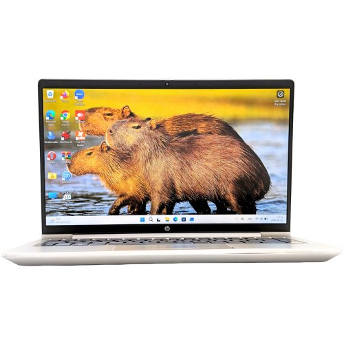 HP ProBook 445 G10/Ryzen3-7330U/16GB/256GB (Reconditionné)