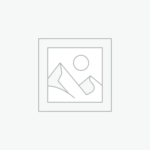 Apple MacBook Air 2015 i5-5250u / 8gb / 128gb (Reconditionné)